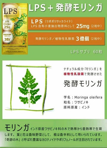 LPS +スマート乳酸菌 60粒入