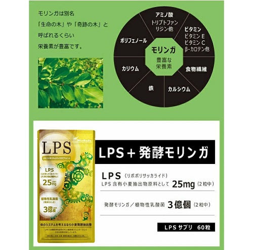 LPS +スマート乳酸菌 60粒入