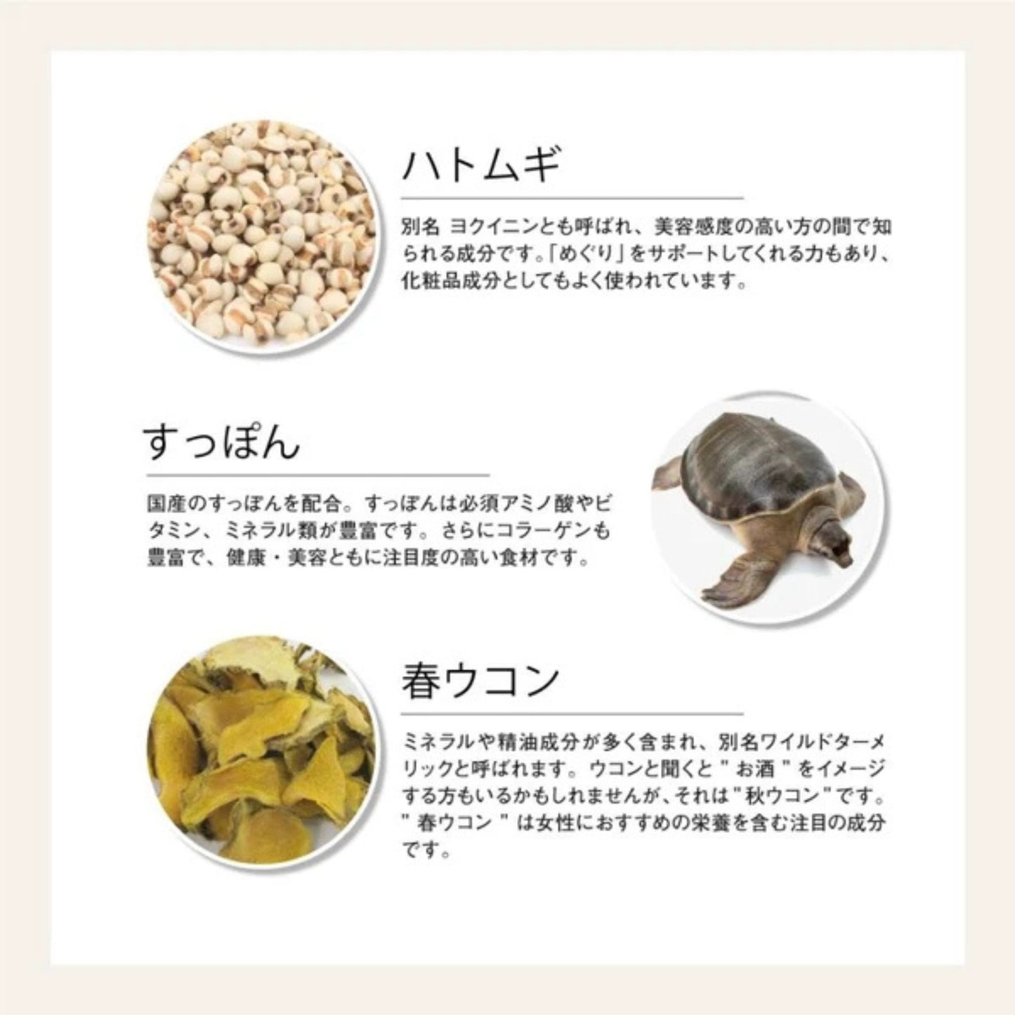 チェストベリーサプリ フランス海岸松 ＋kampoブレンド　和漢サプリ