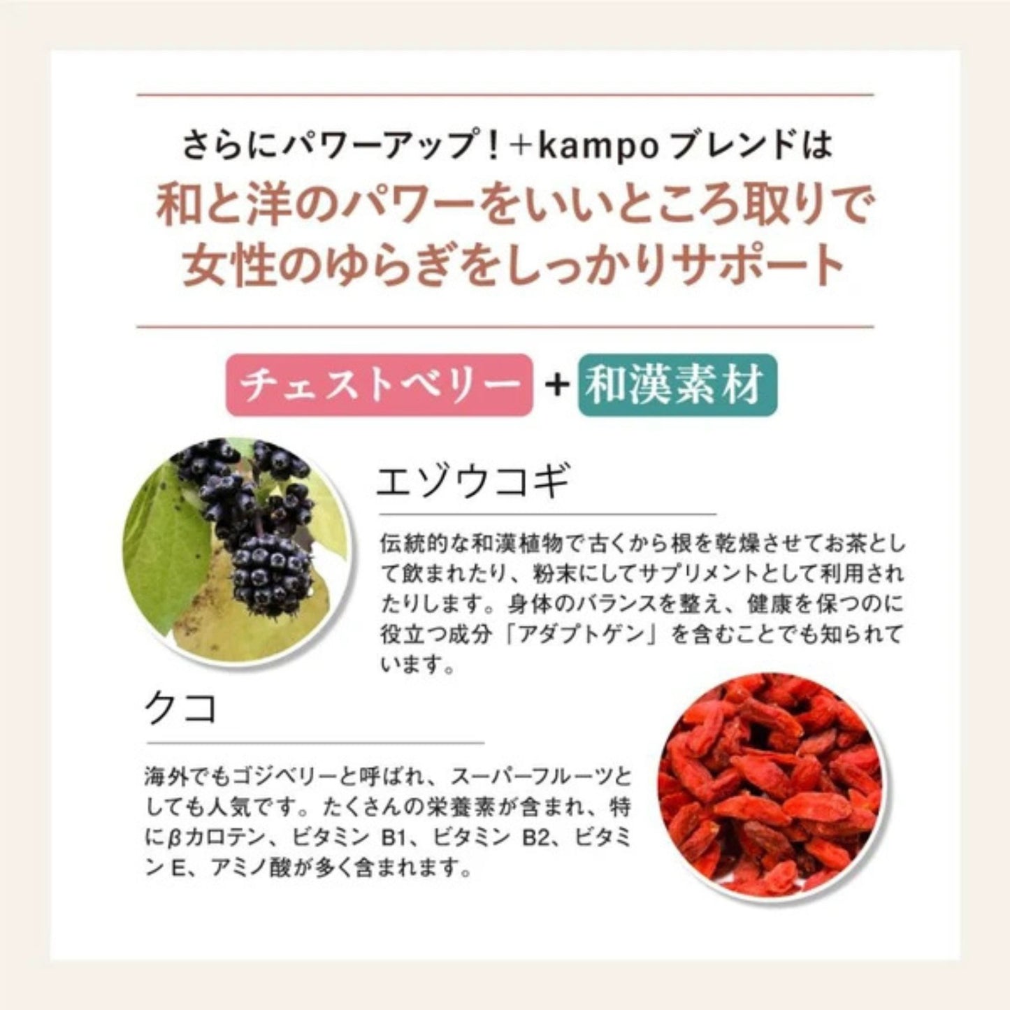 チェストベリーサプリ フランス海岸松 ＋kampoブレンド　和漢サプリ