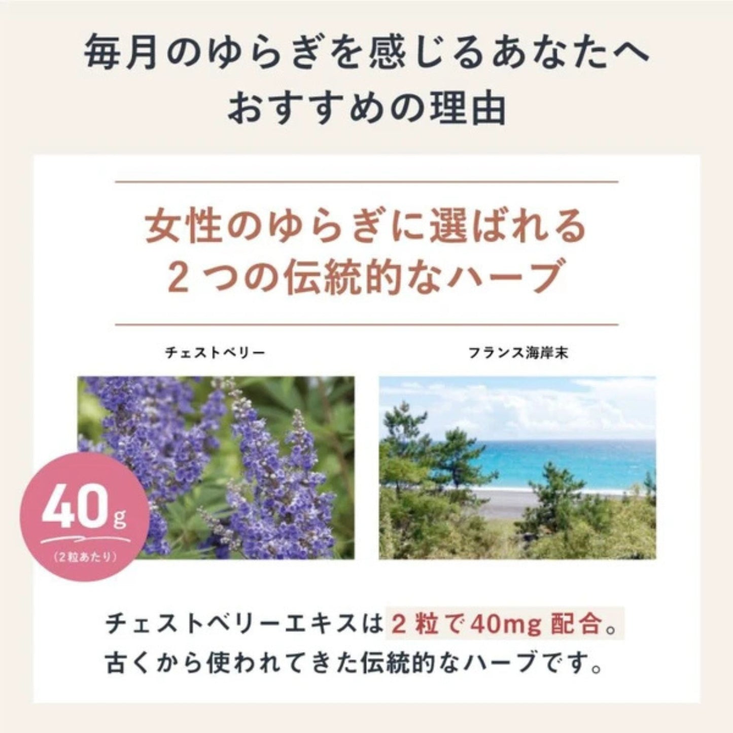 チェストベリーサプリ フランス海岸松 ＋kampoブレンド　和漢サプリ