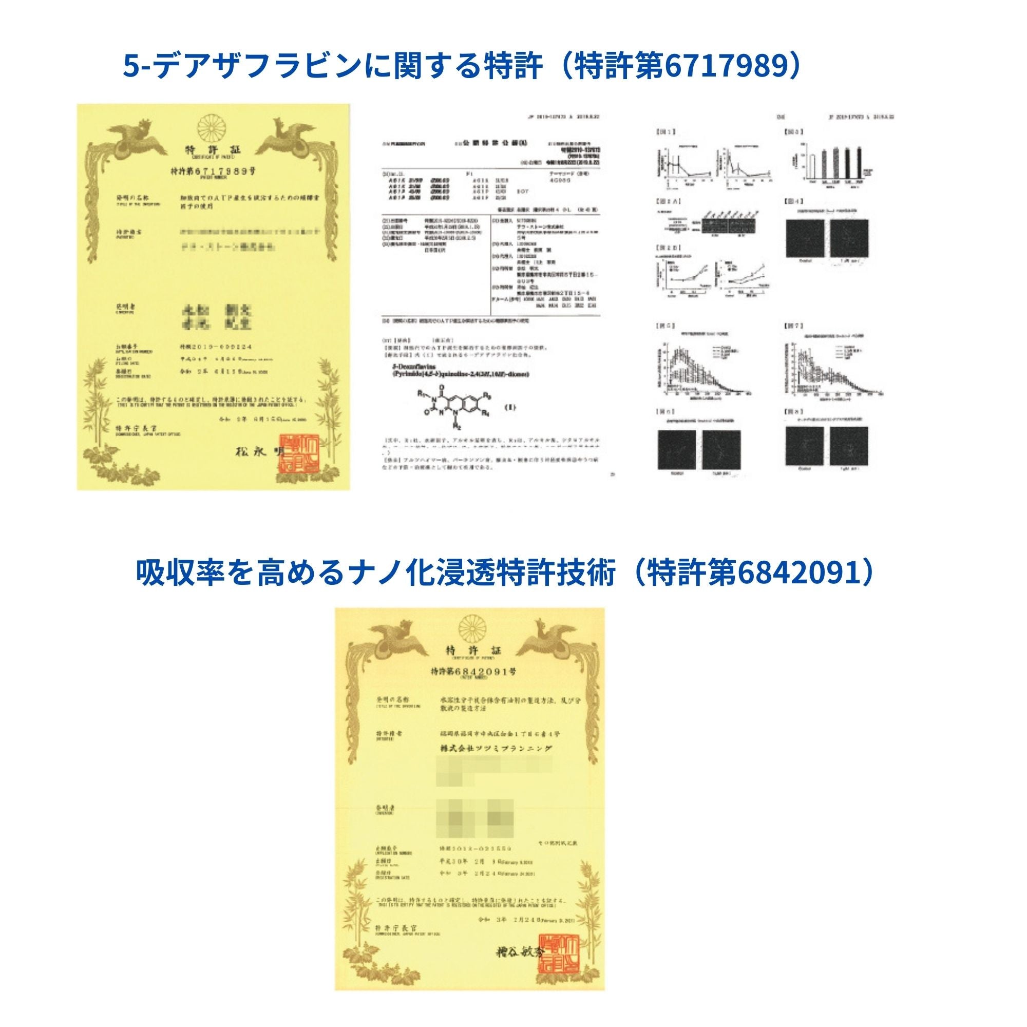 SIRTUP - Sirtuup Deazaflavin-containing processed food, 30 tablets
